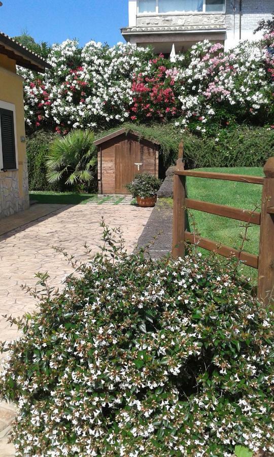 L'Infinito Bed & Breakfast Carbognano Exterior photo